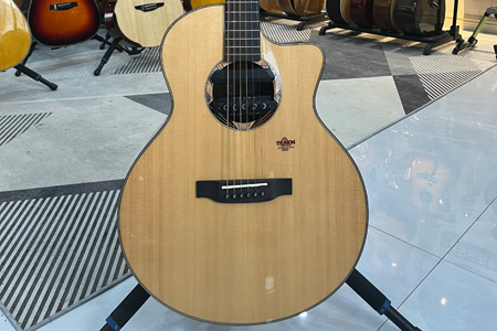 楚门海豚物语 二手琴