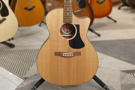 伊斯特曼PCH1 全新展琴