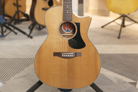 【已售】伊斯特曼PCH2 二手99新 购买仅一个月