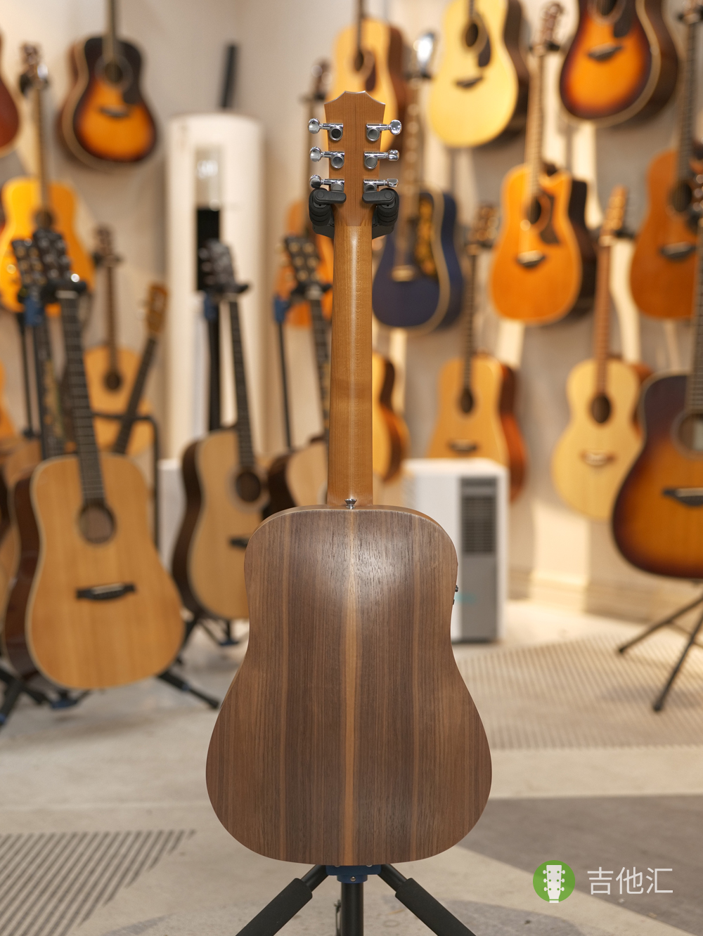 泰勒BT1E Walnut 背面实拍图