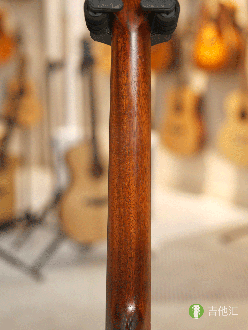 伊斯特曼E1D 琴颈实拍图