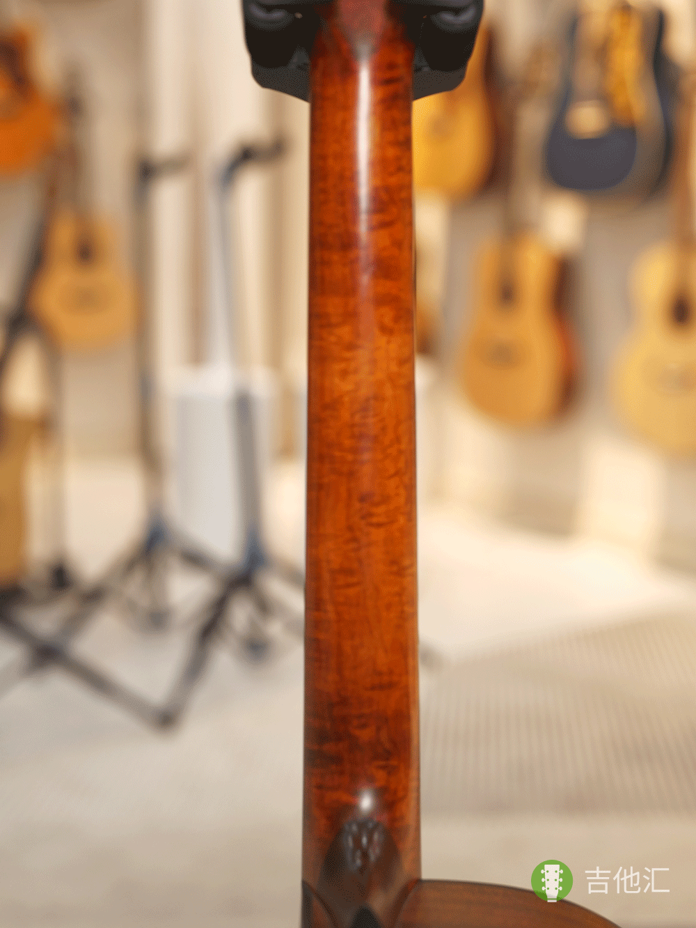 伊斯特曼PCH1 琴颈实拍图