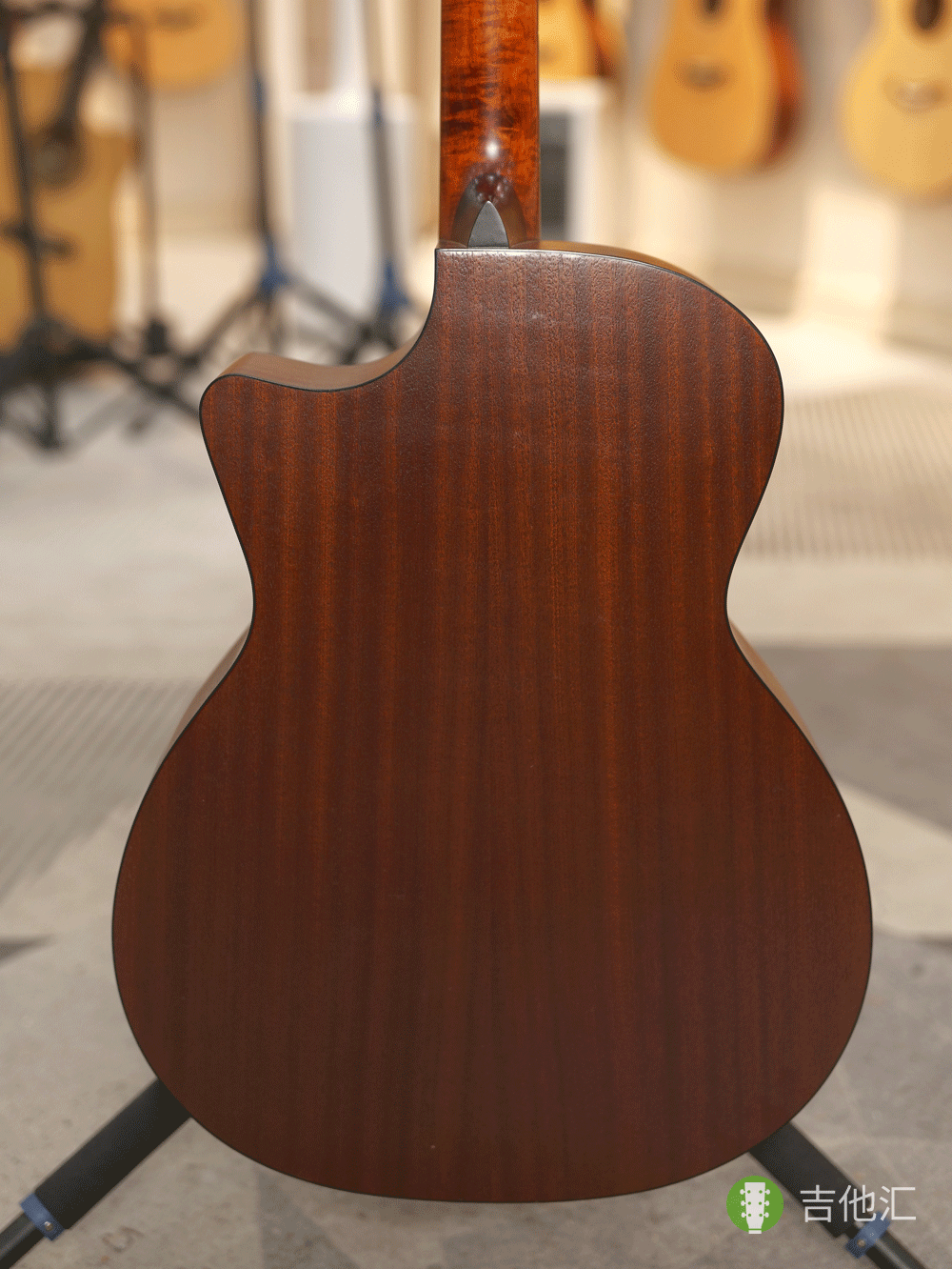 伊斯特曼PCH1 背板实拍图