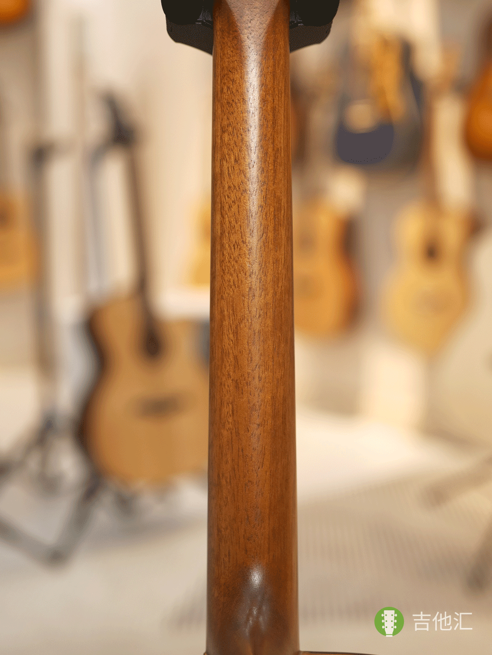 雅马哈FGX800CVN 琴颈实拍图