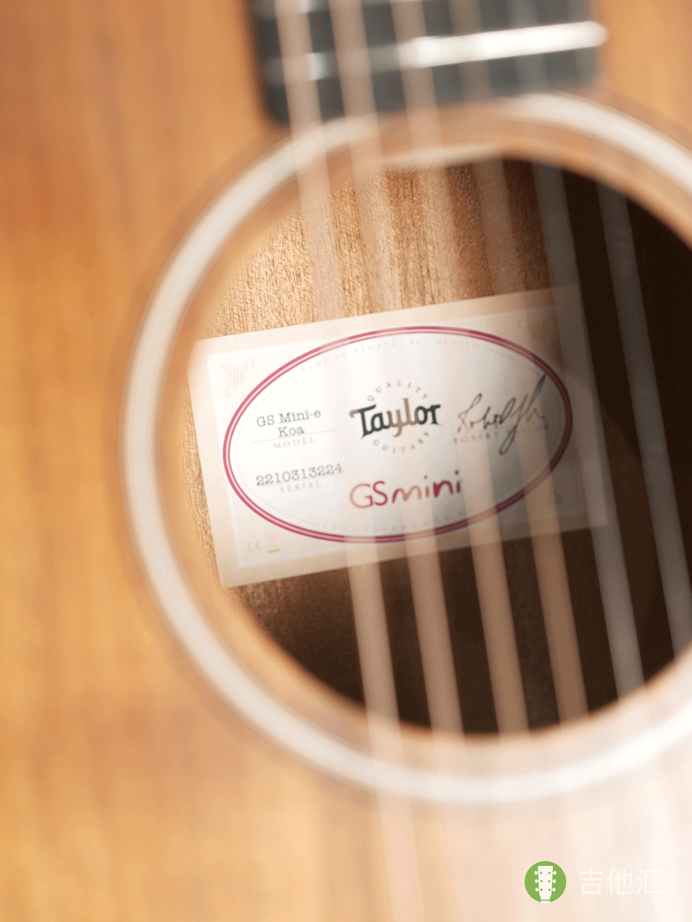 泰勒GS mini EKOA 音孔编码实拍图