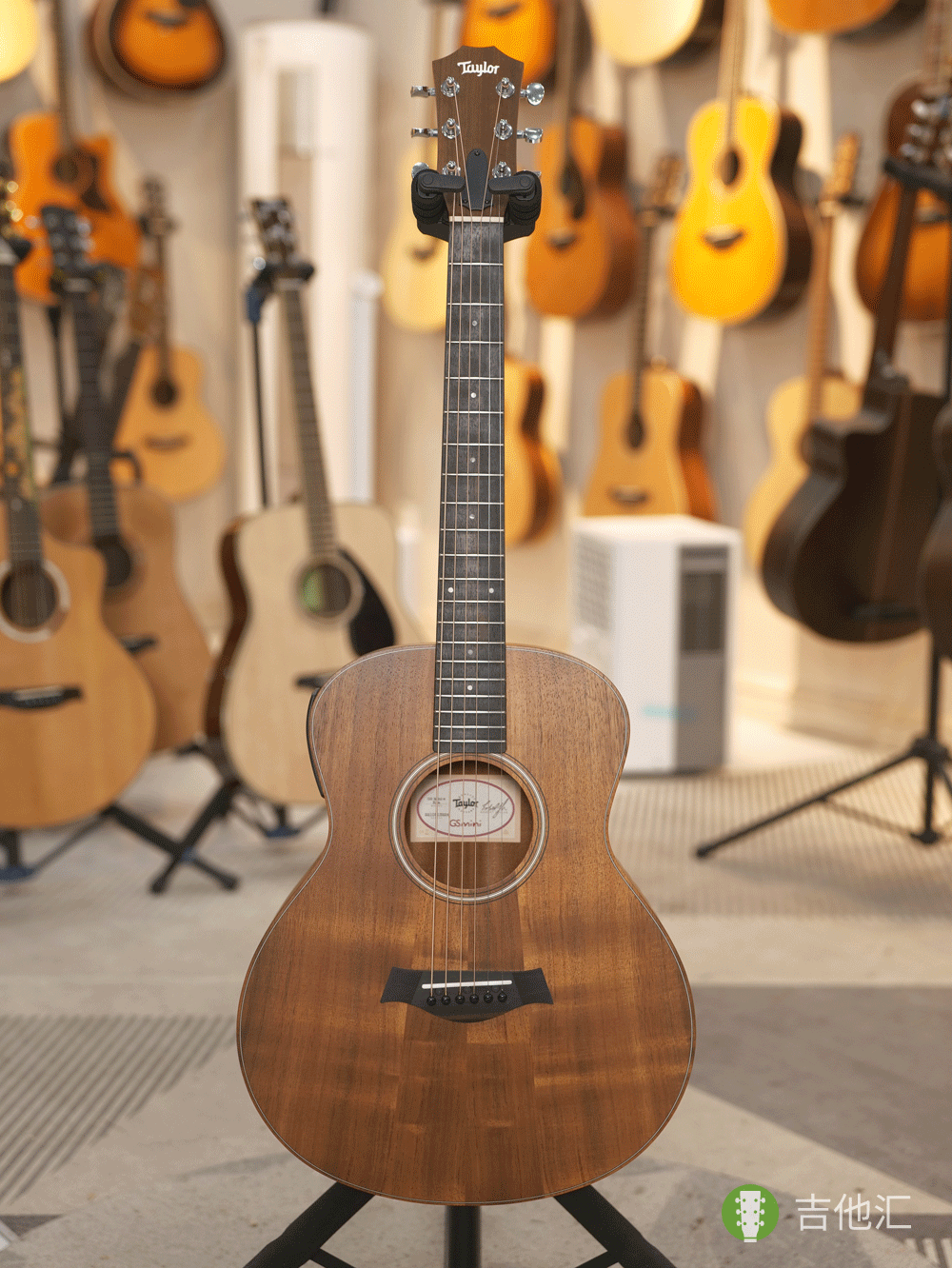 泰勒GS mini EKOA 正面实拍图