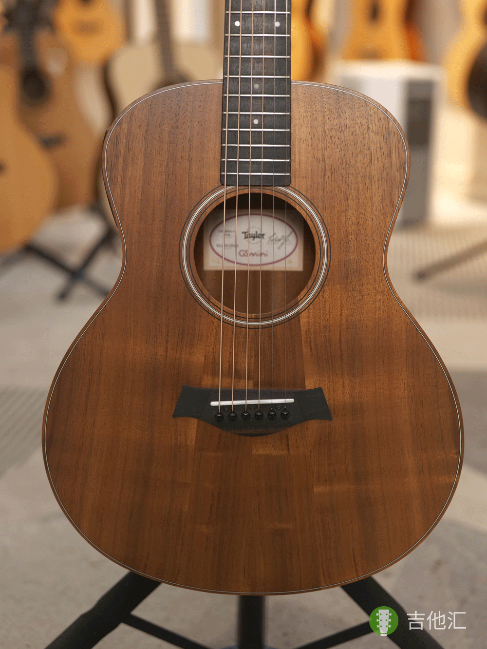 泰勒GS mini EKOA 面板实拍图