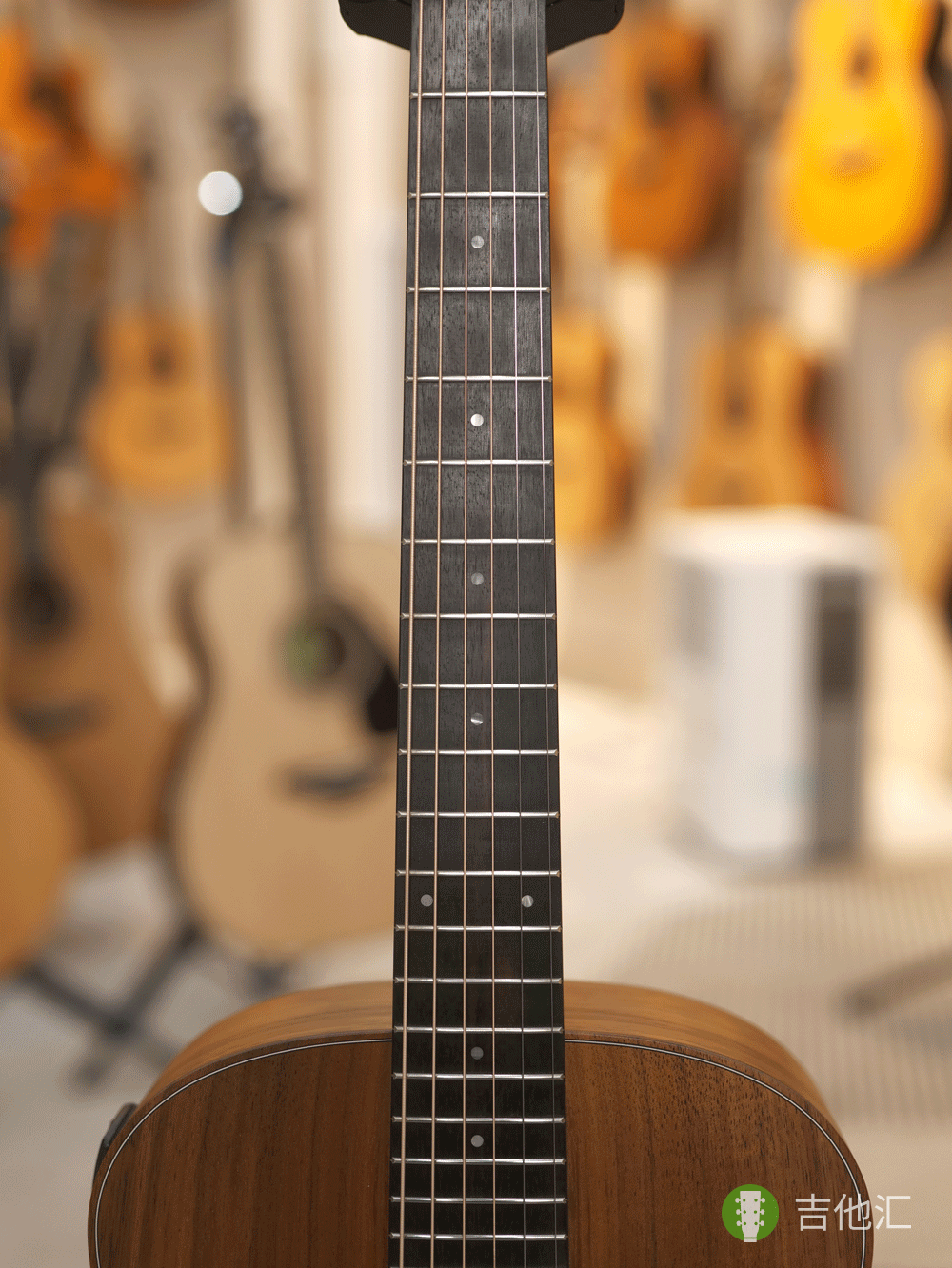 泰勒GS mini EKOA 指板实拍图