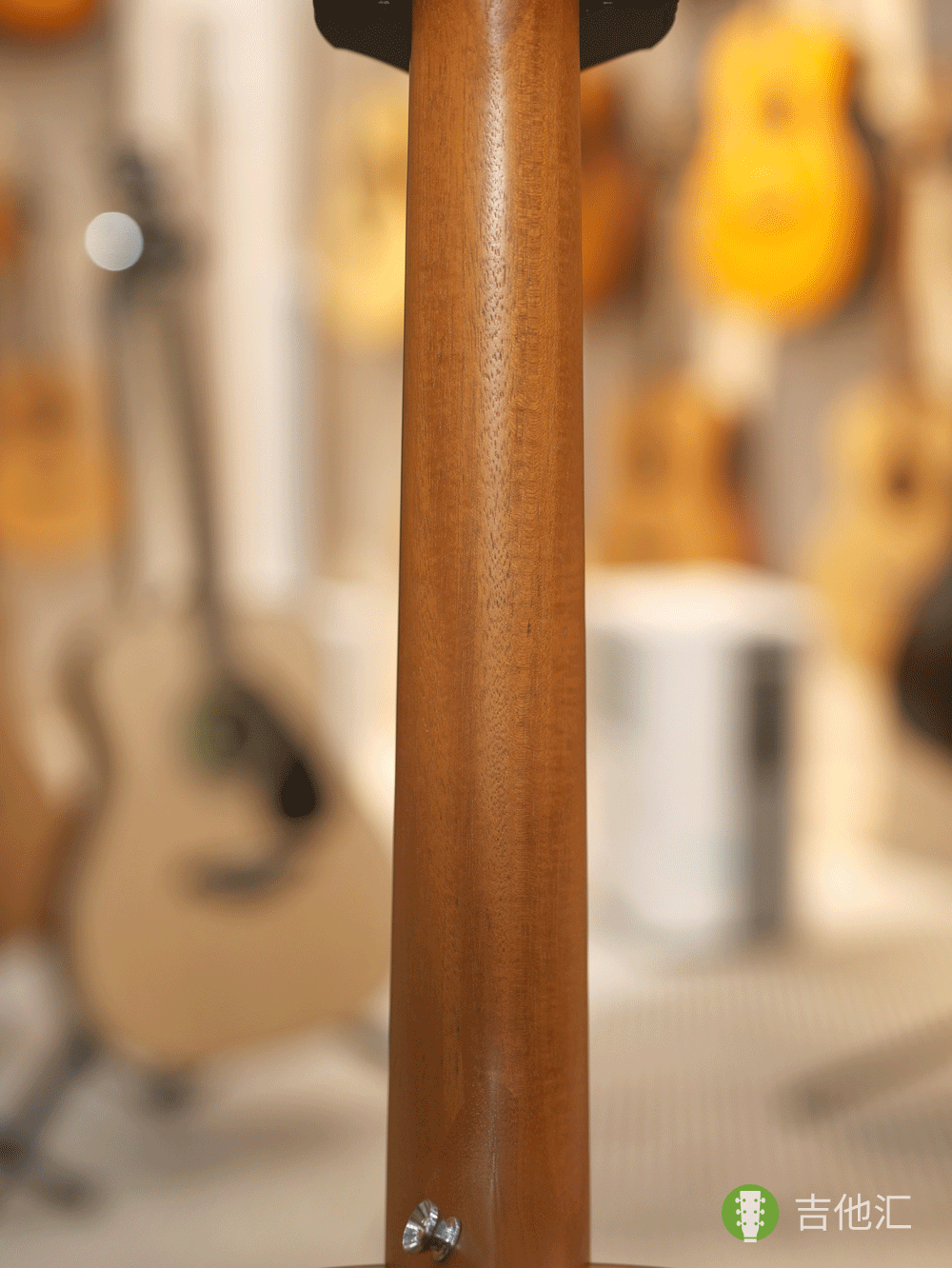 泰勒GS mini EKOA 琴颈实拍图