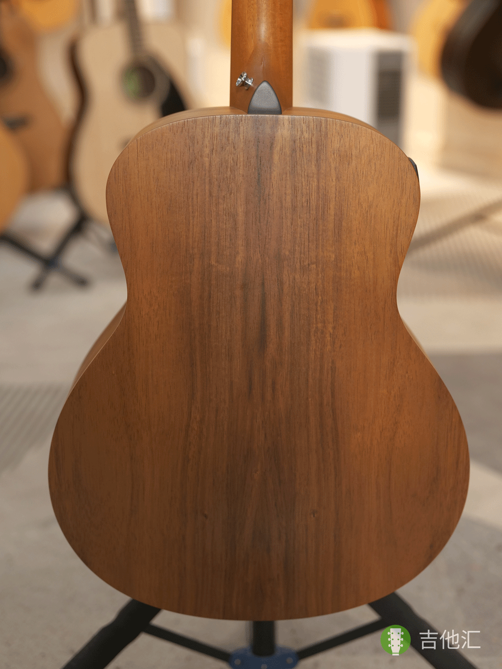 泰勒GS mini EKOA 背板实拍图