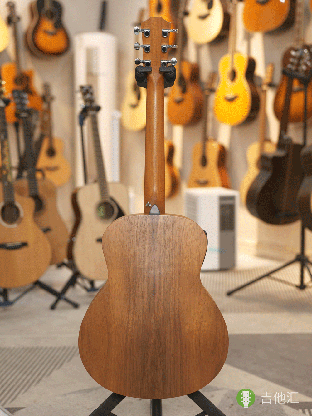 泰勒GS mini EKOA 背面实拍图