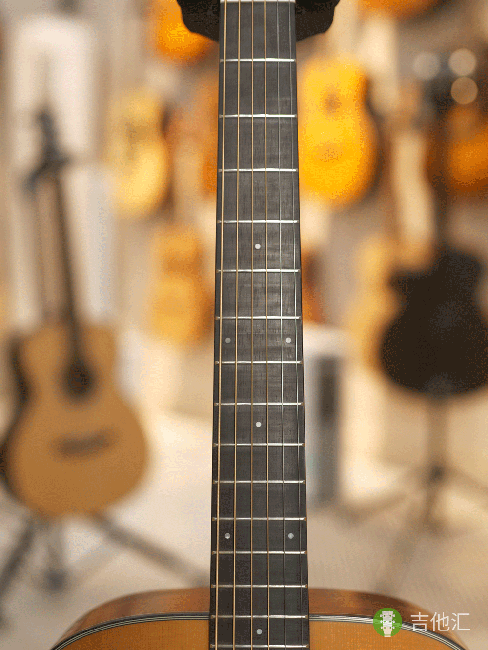 雅马哈FS3 指板实拍图