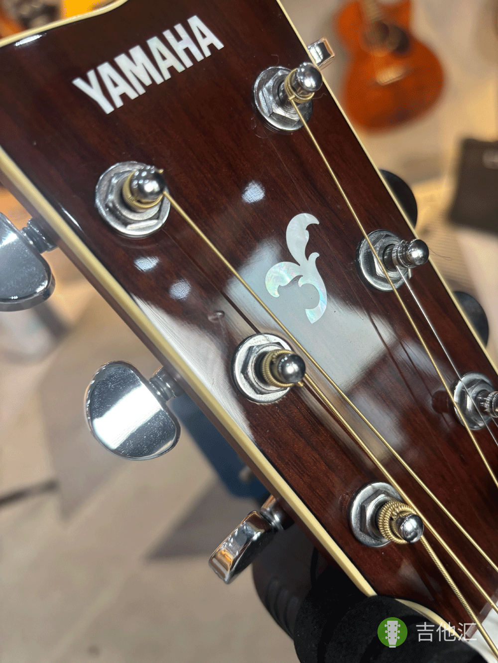雅马哈FG830 琴头磕碰实拍图