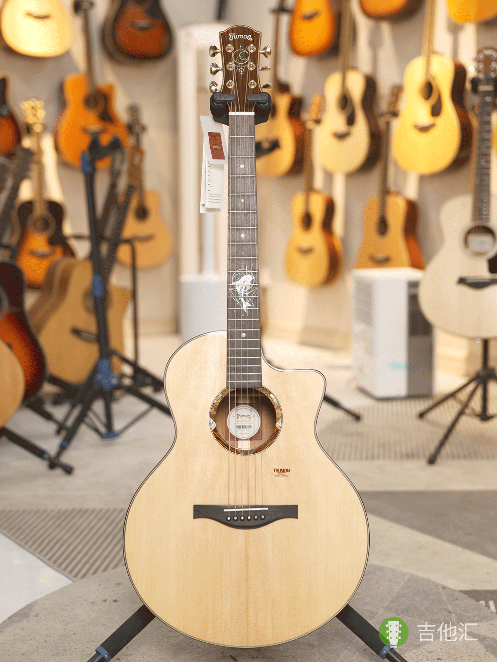 楚门TF1955 正面实拍图