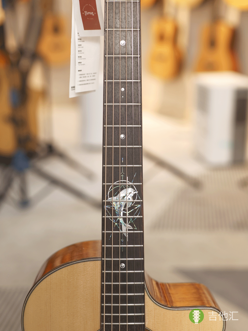 楚门TF1955 指板实拍图