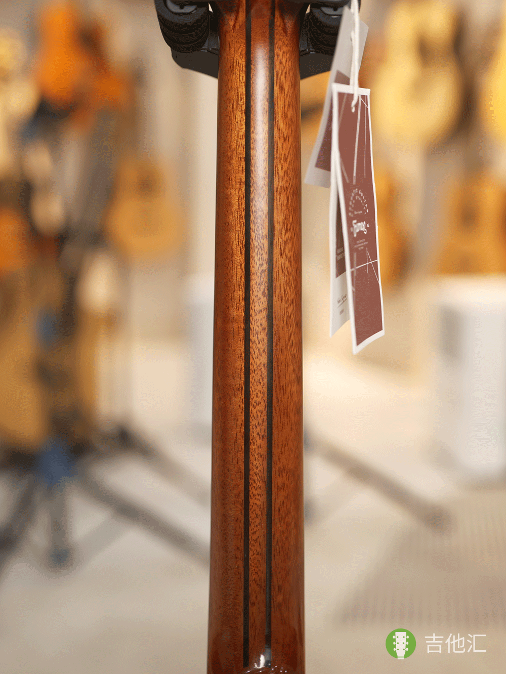 楚门TF1955 琴颈实拍图