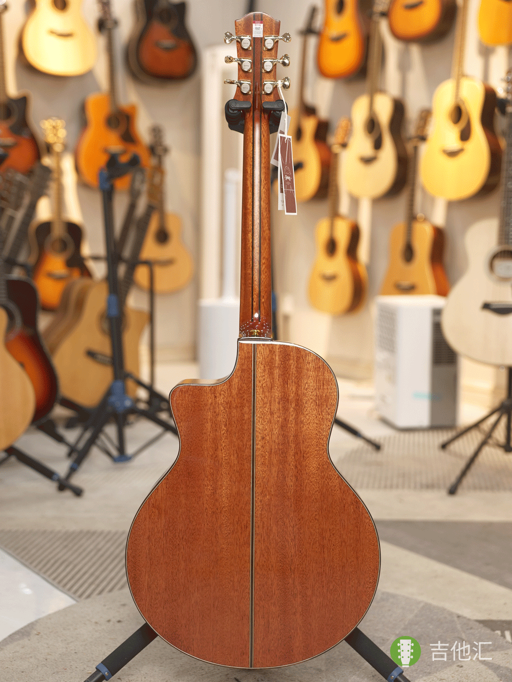 楚门TF1955 背面实拍图