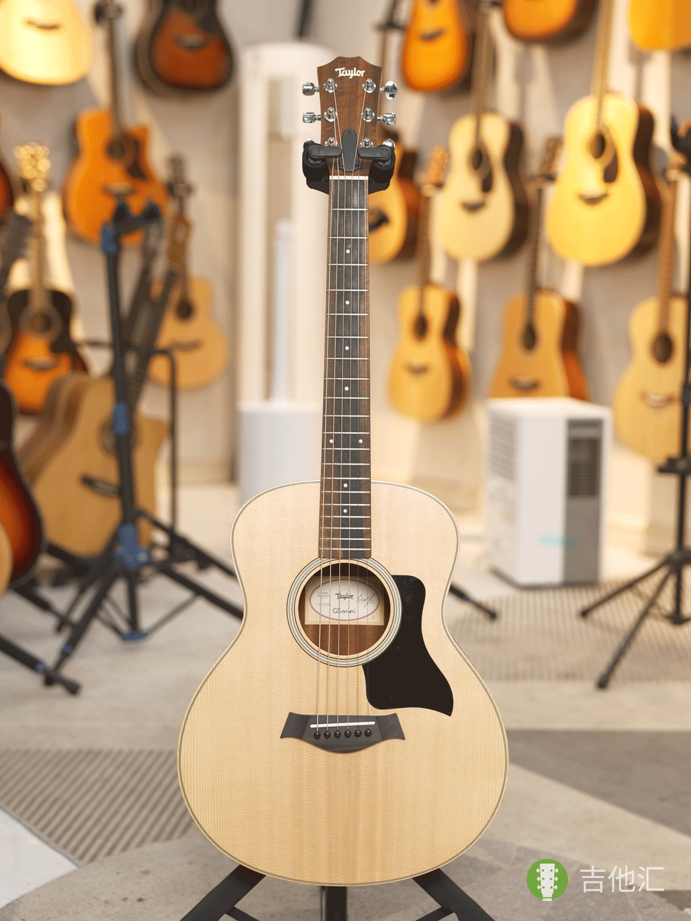 泰勒GSmini 正面实拍图