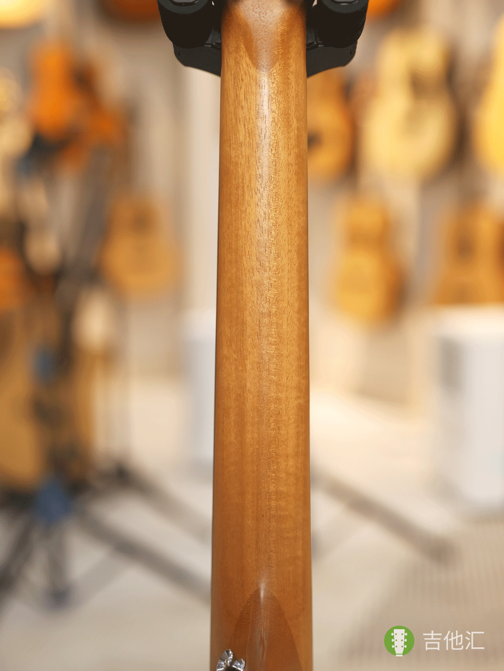 泰勒GSmini 琴颈实拍图