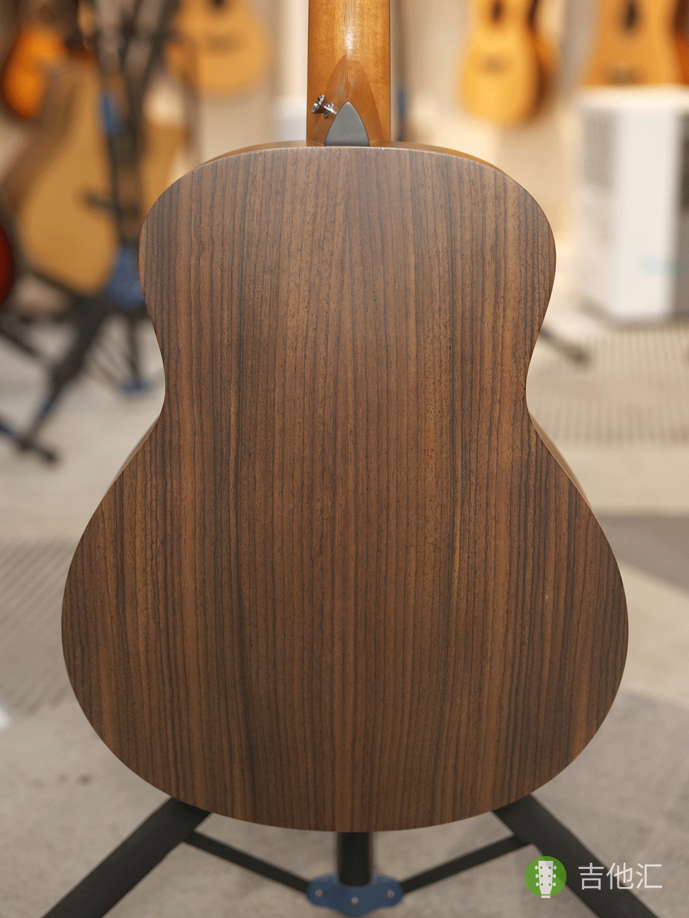 泰勒GSmini 背板实拍图