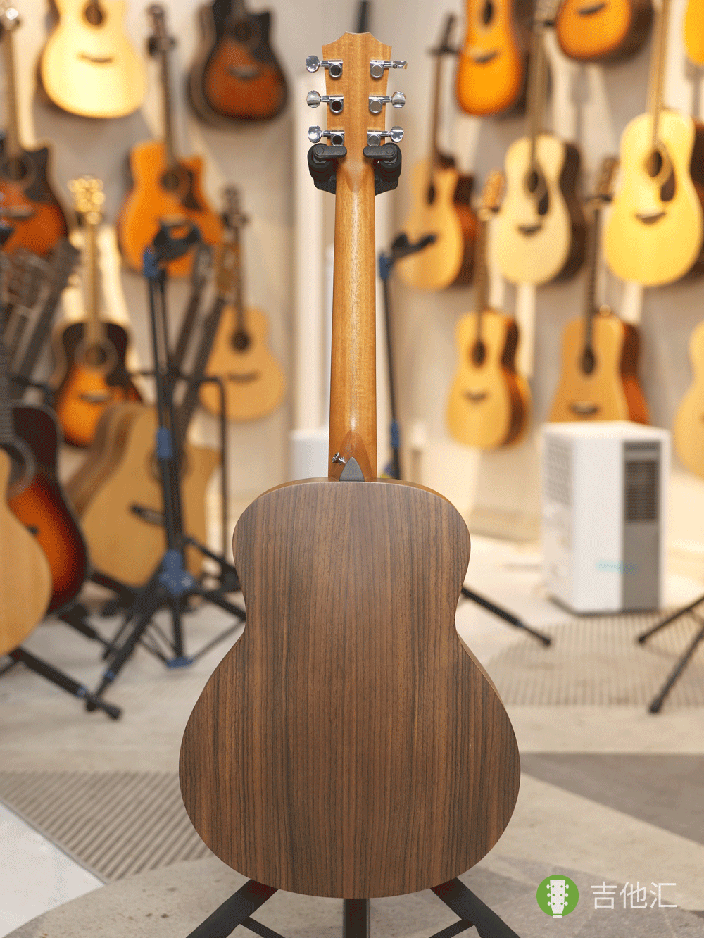 泰勒GSmini 背面实拍图