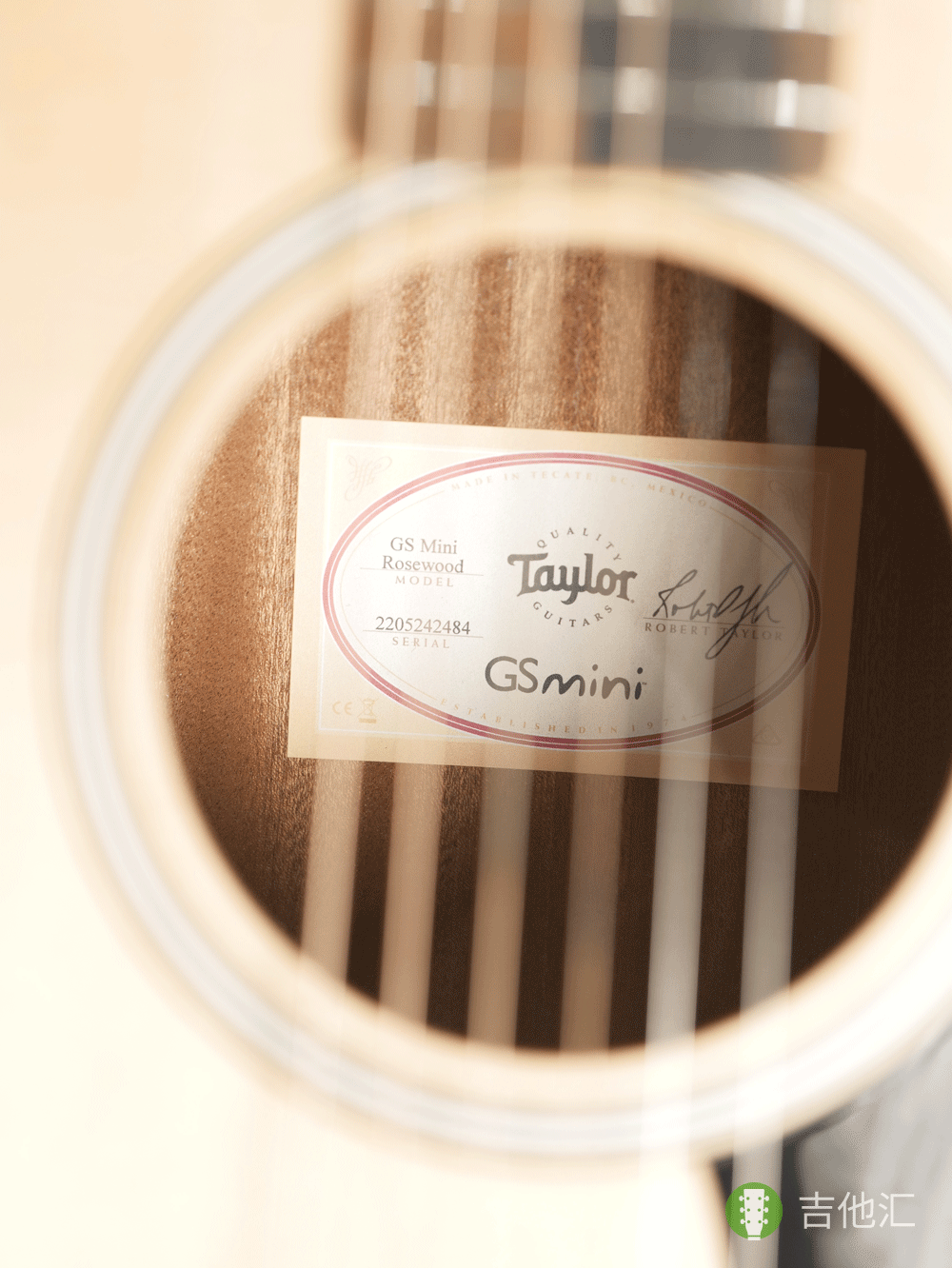 泰勒GSmini SN编码实拍图