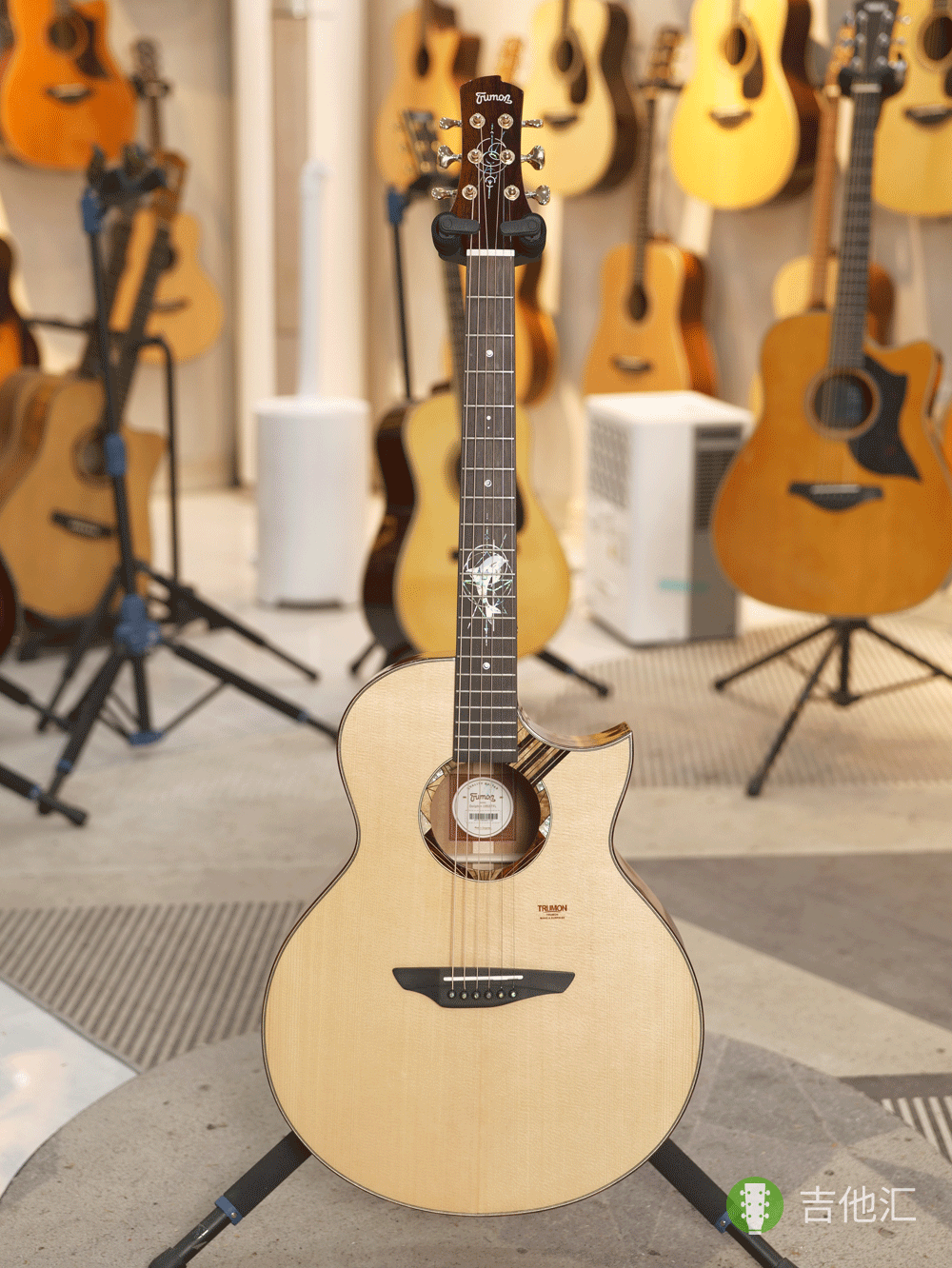 楚门海豚物语TFL1955 正面实拍图