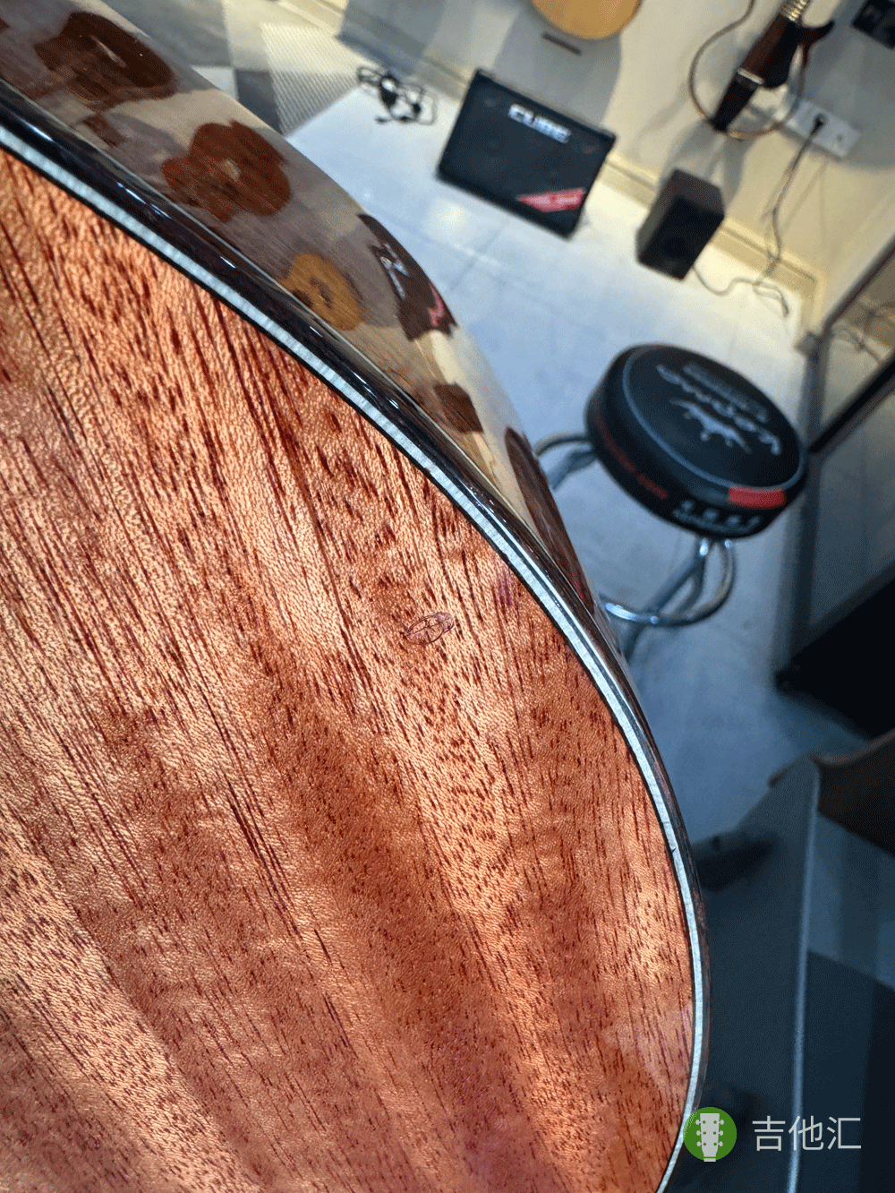 楚门海豚物语TFL1955 背板磕碰实拍图