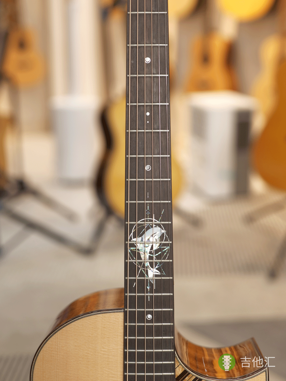 楚门海豚物语TFL1955 指板实拍图