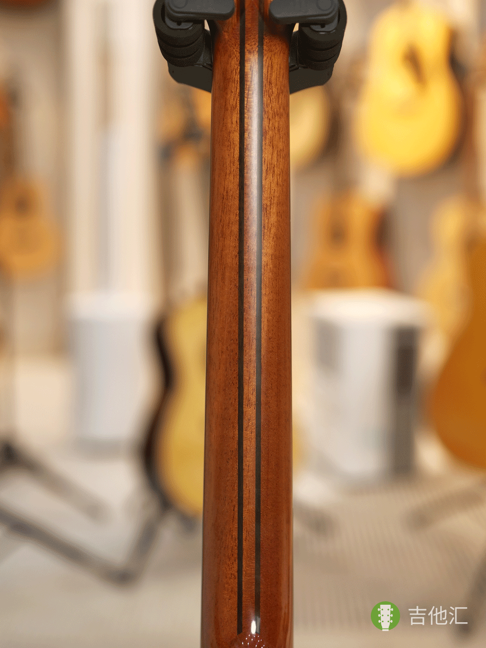 楚门海豚物语TFL1955 琴颈实拍图