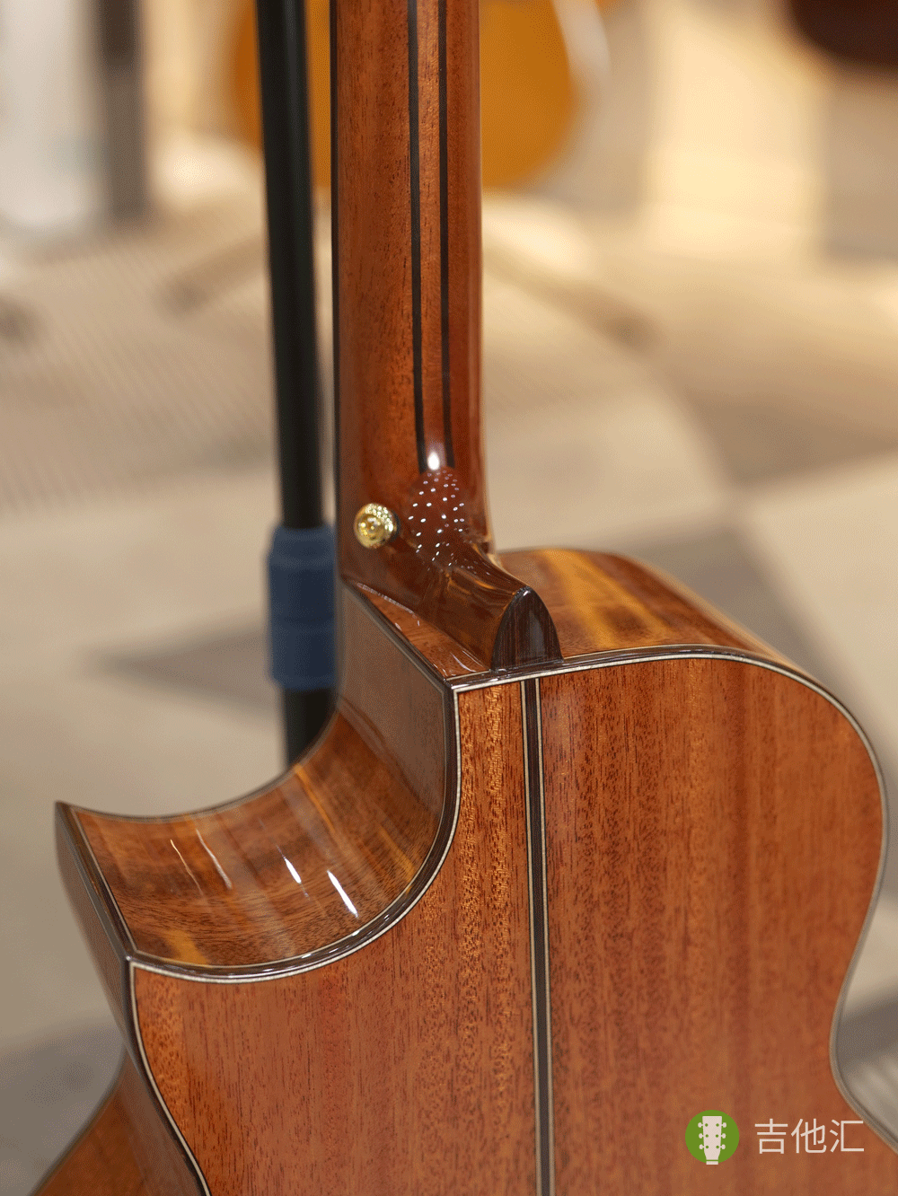 楚门海豚物语TFL1955 琴颈接柄处实拍图