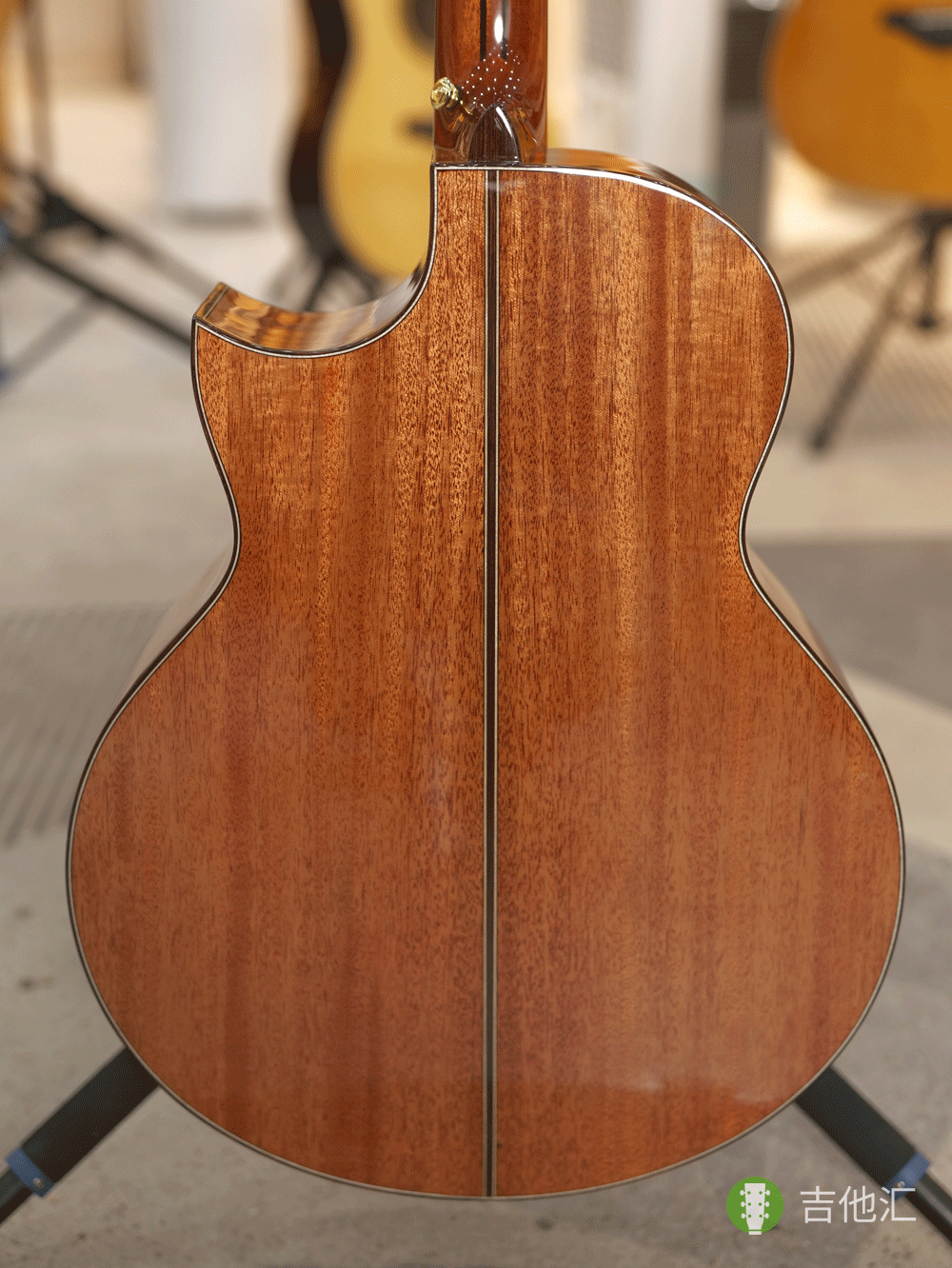 楚门海豚物语TFL1955 背板实拍图