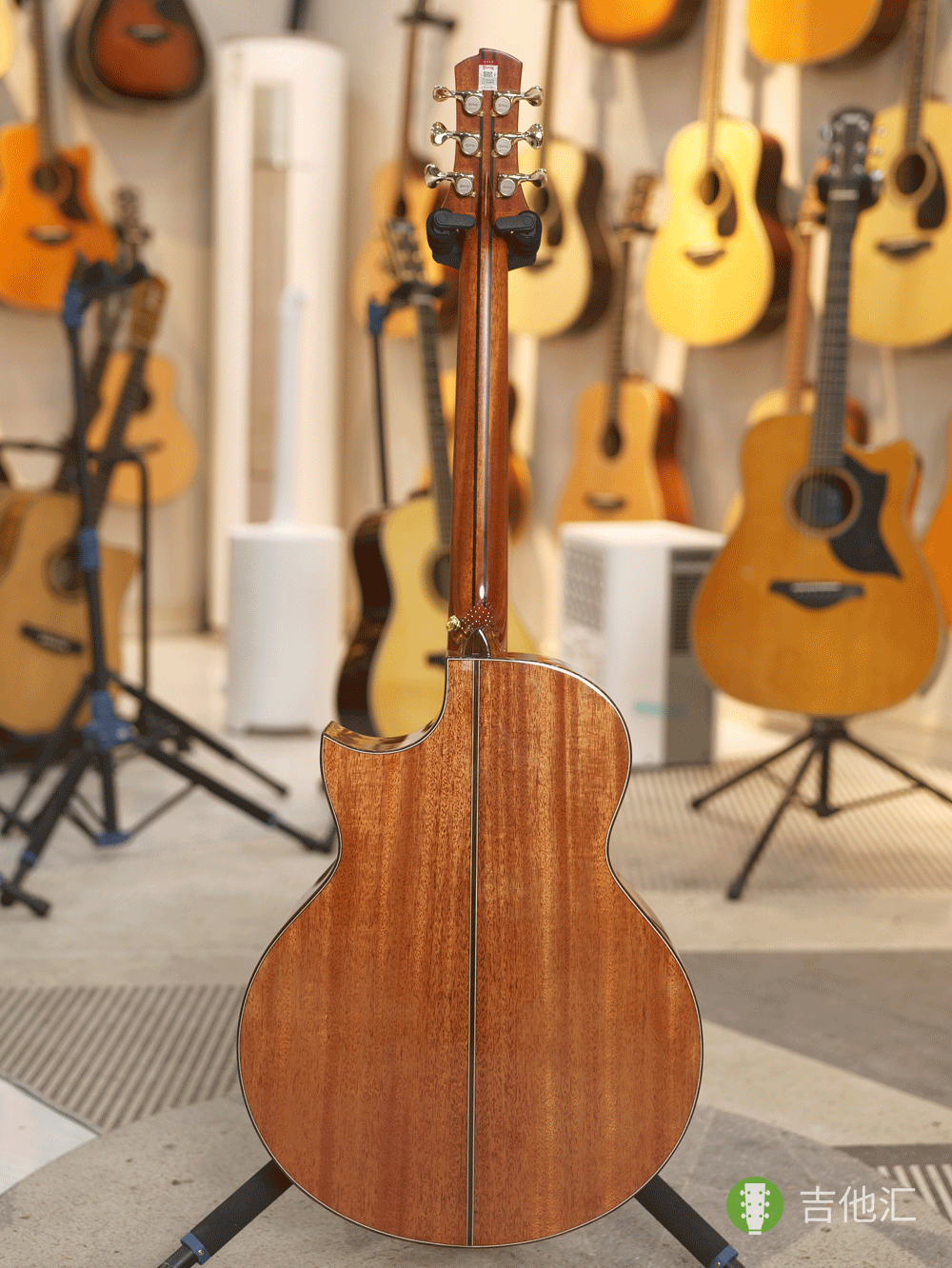 楚门海豚物语TFL1955 背面实拍图