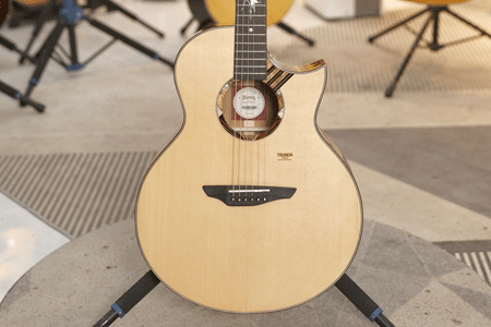 楚门海豚物语TFL1955 二手95新