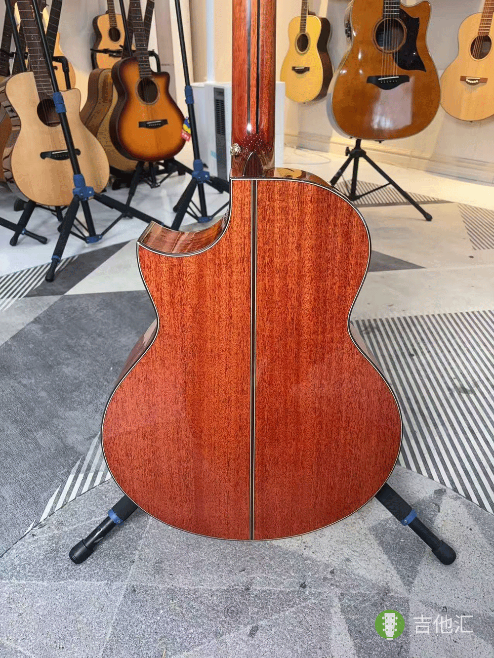 楚门海豚物语TFL1955 背板实拍图