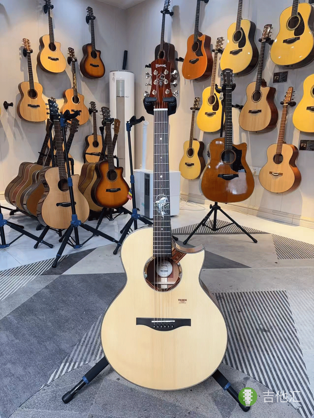 楚门海豚物语TFL1955 正面实拍图