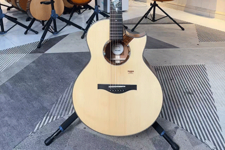 楚门海豚物语TFL1955 二手99新