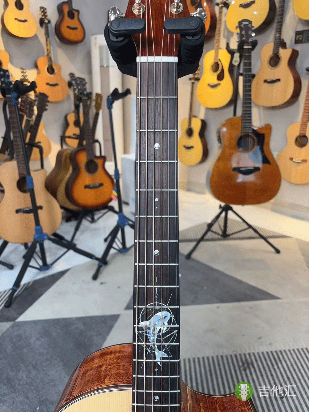 楚门海豚物语TFL1955 指板实拍图