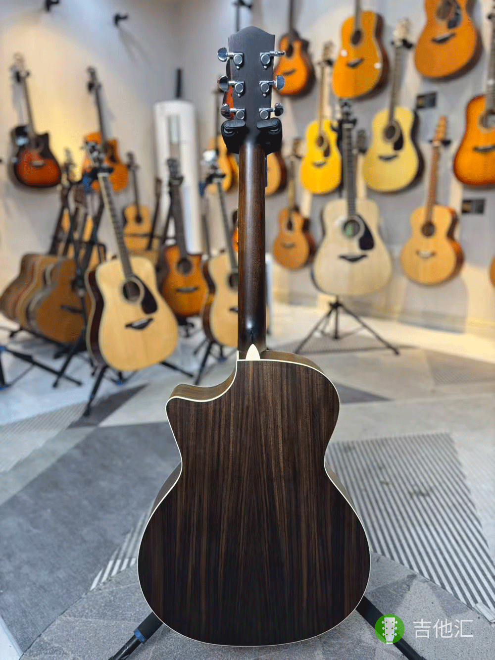 伊斯特曼PCH2 背面实拍图