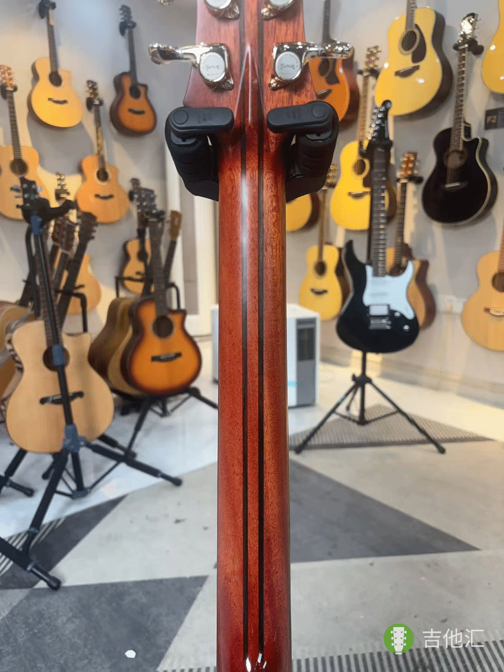 楚门海豚物语TFL1955 琴颈实拍图