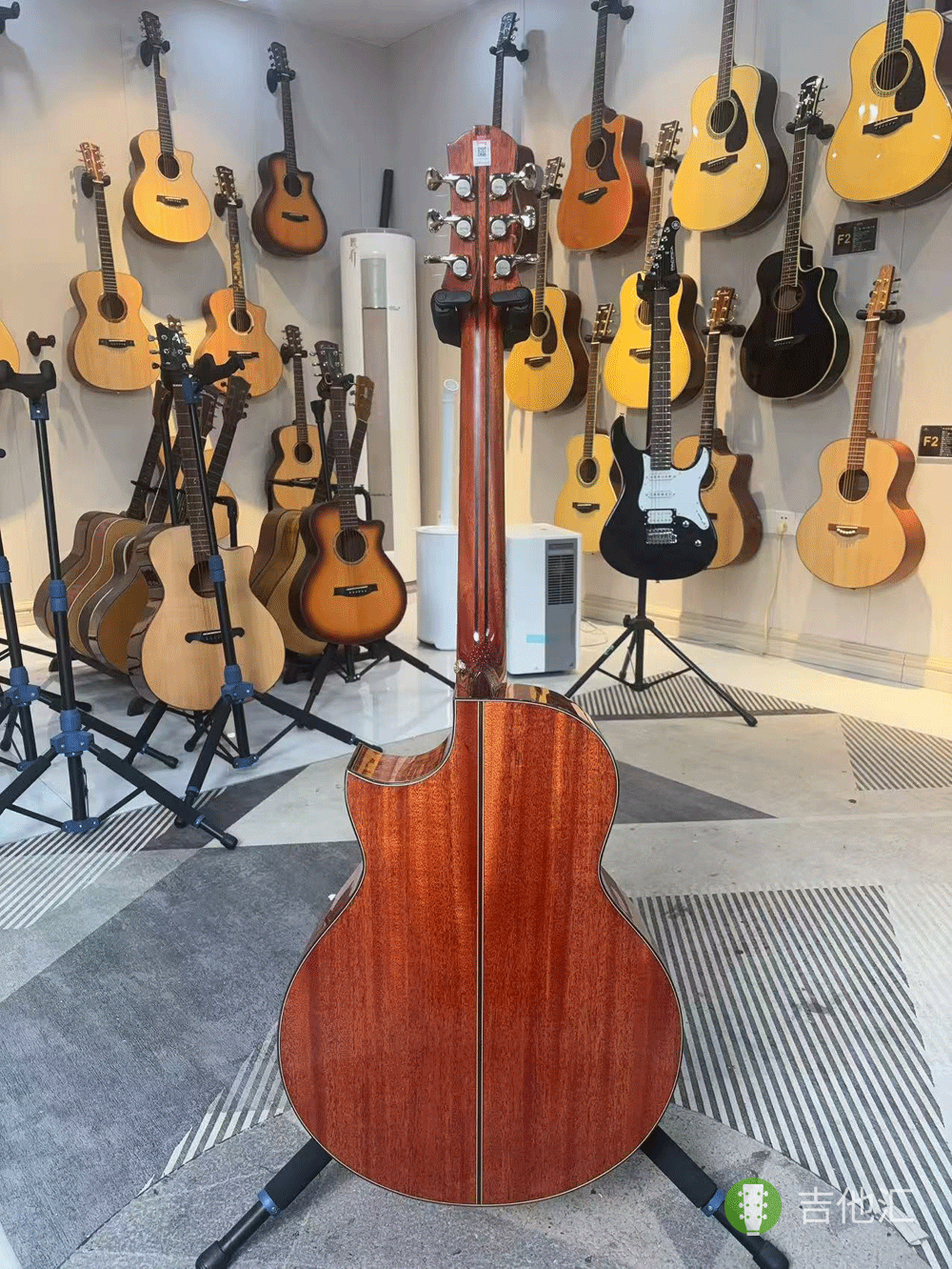 楚门海豚物语TFL1955 背面实拍图