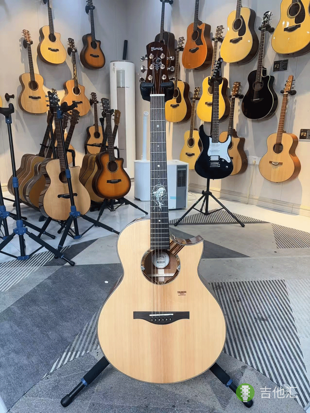 楚门海豚物语TFL1955 正面实拍图