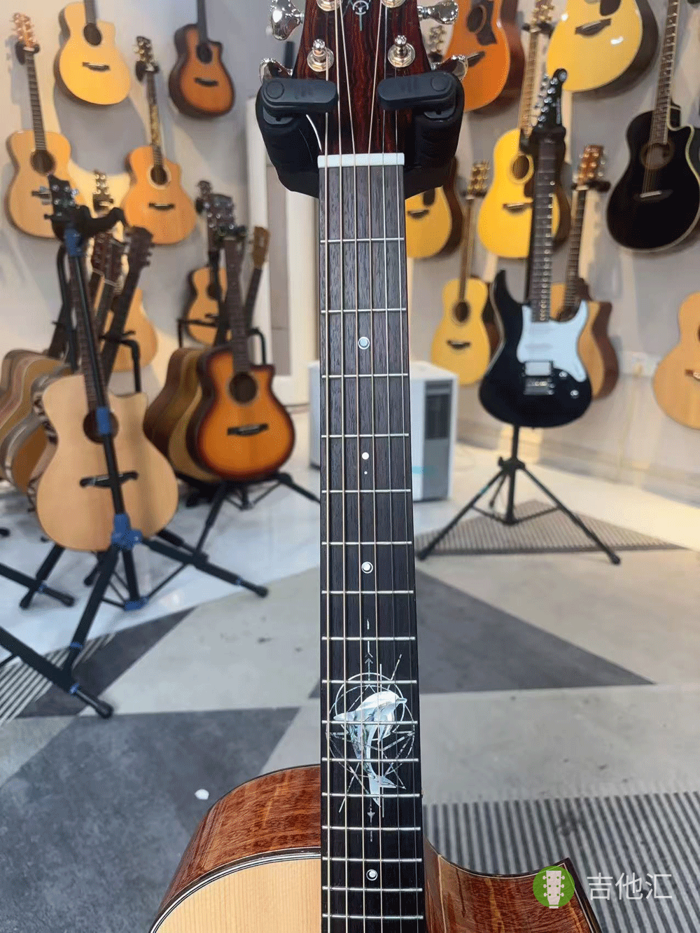 楚门海豚物语TFL1955 指板实拍图