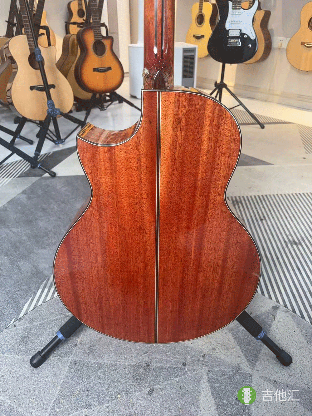 楚门海豚物语TFL1955 背板实拍图