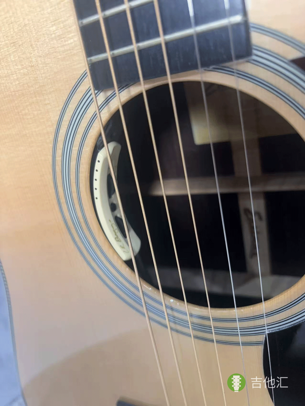 伊斯特曼E20D 拾音器实拍图