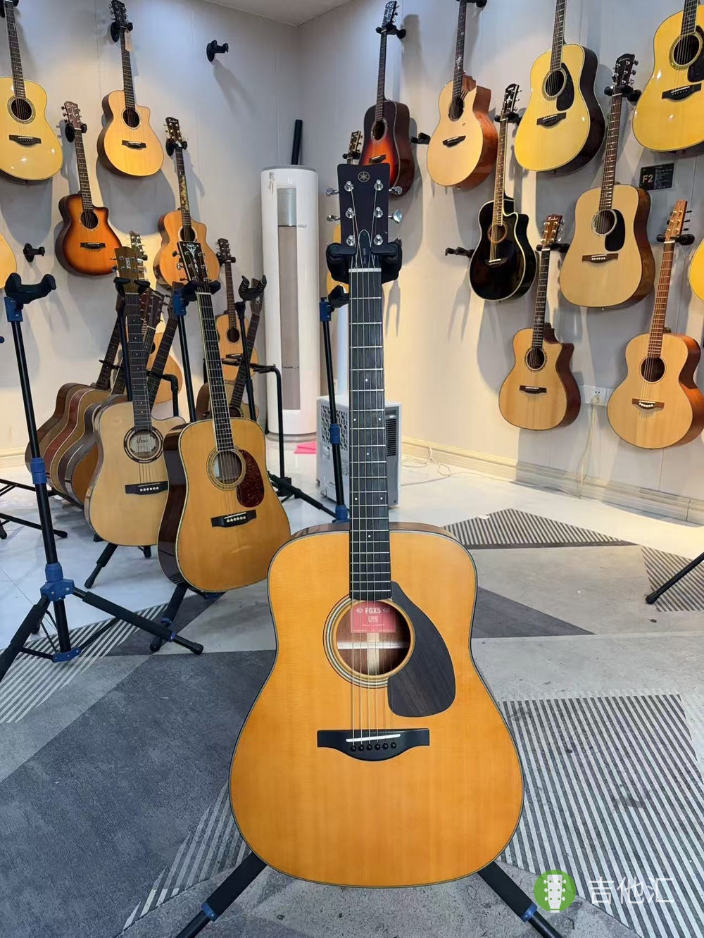 雅马哈FGX5 正面实拍图